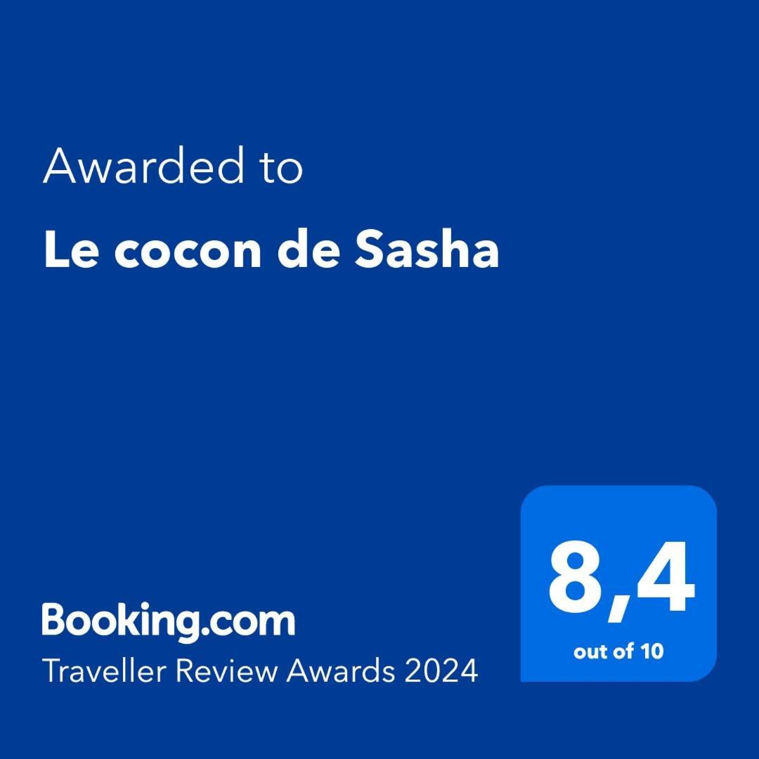 Le Cocon De Sasha - Hyper Centre - Full Climatisation - Proche Gare - 1 Chambre - Canape Convertible - Gere Par Presta-Zen'Services Verdun Zewnętrze zdjęcie